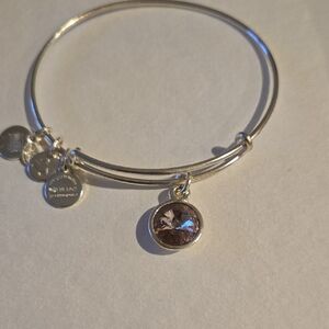 Alex and Ani Silver Bracelet with Crystal Charm